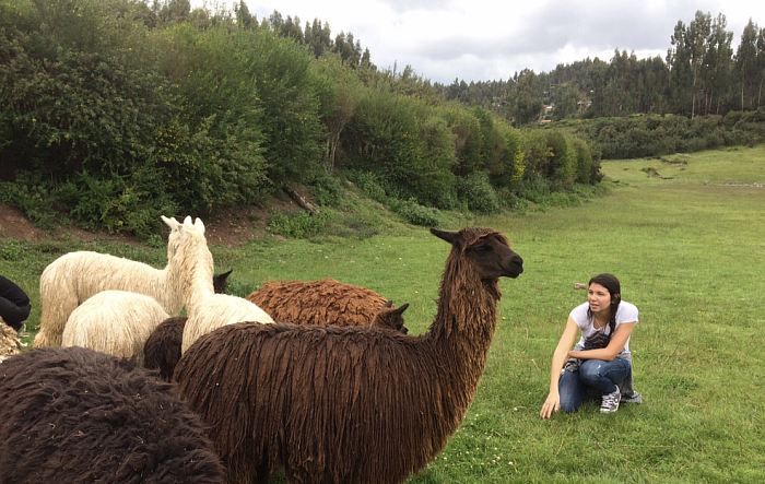 Arte Pachamama